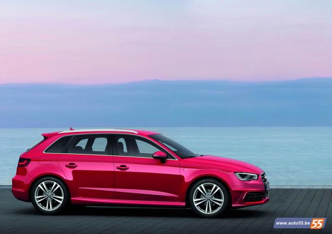 67643_10151186850136767_780113337_n