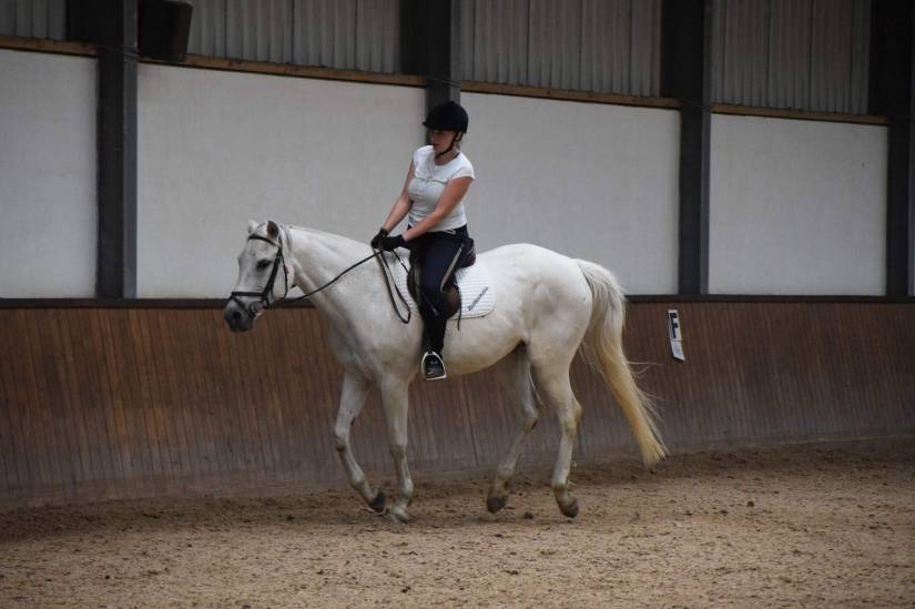 36199852_10216017324963115_2001386860798017536_o