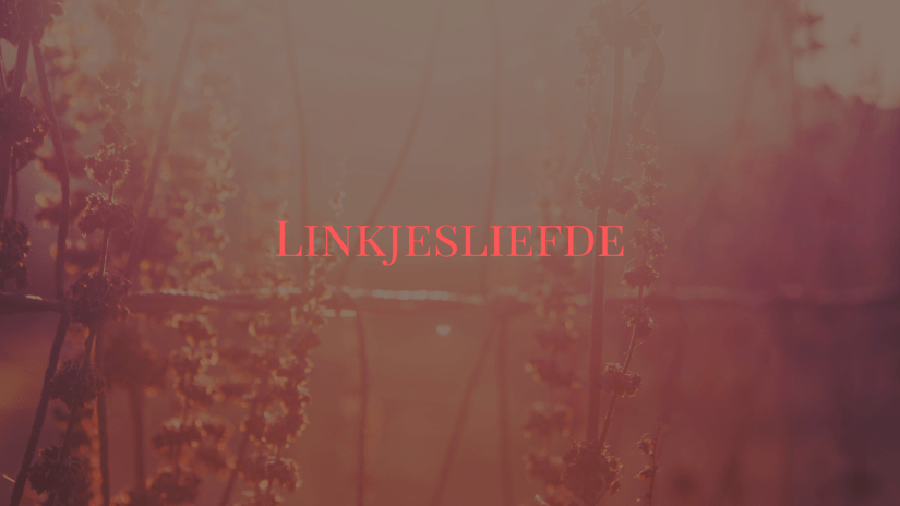 Linkjesliefde